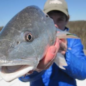 Meet your Posher, Hunter